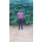 VINOD P SHETTIGAR